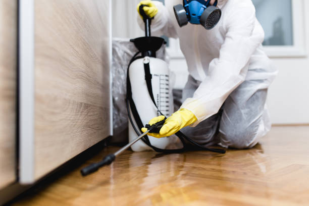 Best Commercial Pest Control Services  in Gerdine, AL