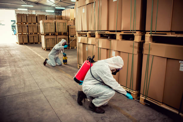 Best Commercial Pest Control Services  in Gerdine, AL