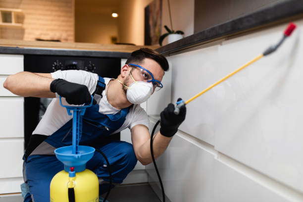Best Pest Removal Services  in Gerdine, AL
